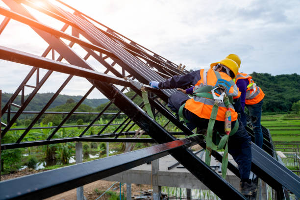 Best Local Roofing Companies  in Belle Rose, LA